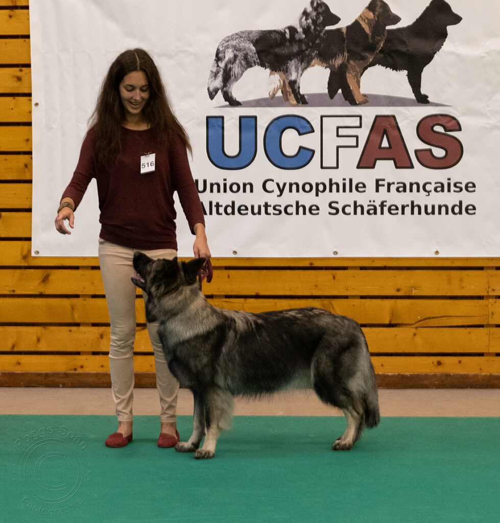 8U8A9348 copie