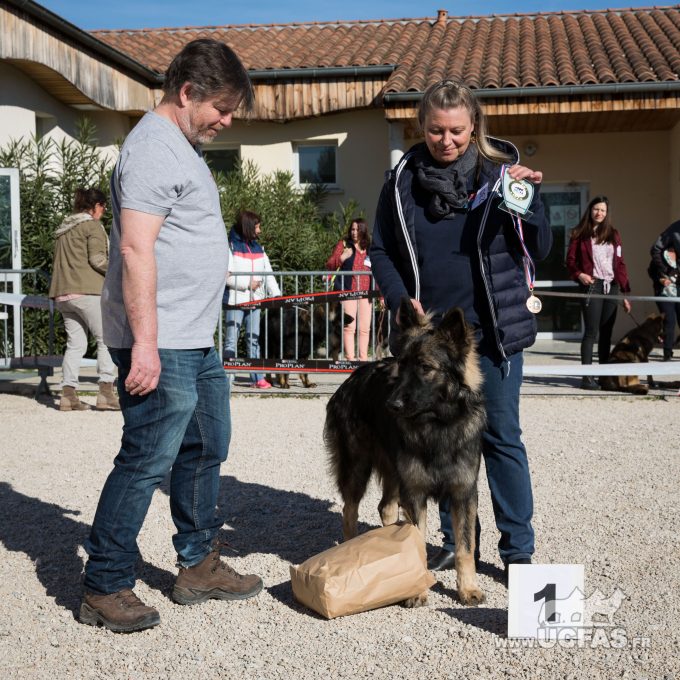 Classe Puppy Mâles
