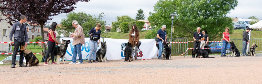 C13A1673.redimensionne