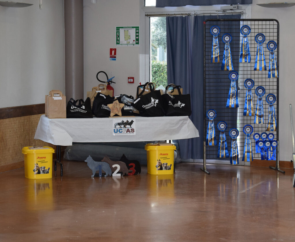 DIVERS copie