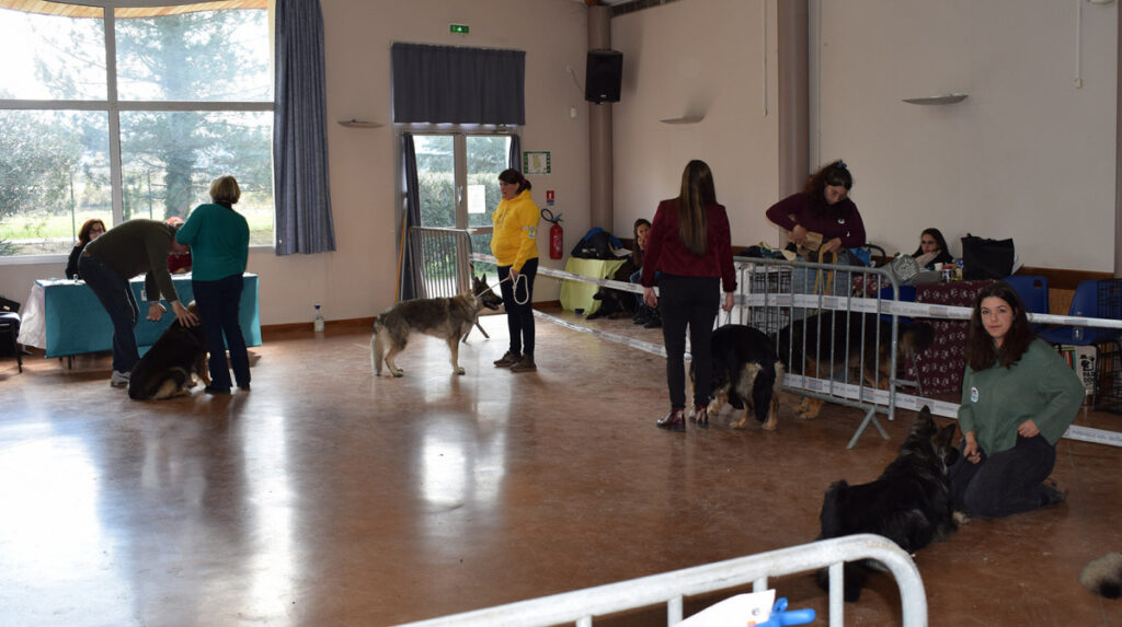 DIVERS17 copie