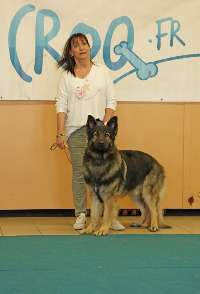DSC02252 copie