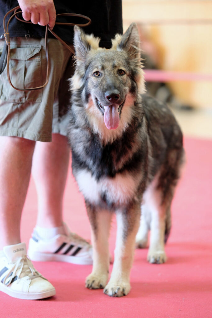 DSCF9504