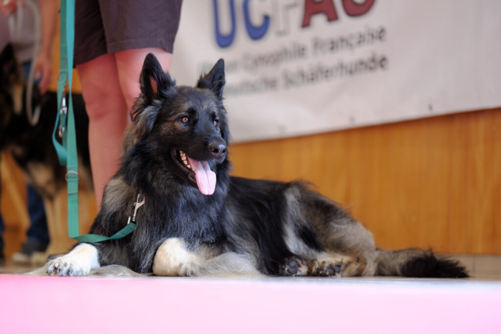 DSCF9914
