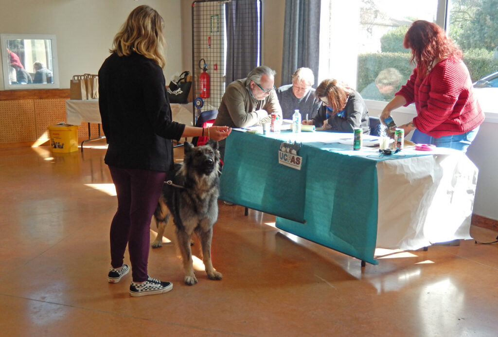 DSCN4561 copie