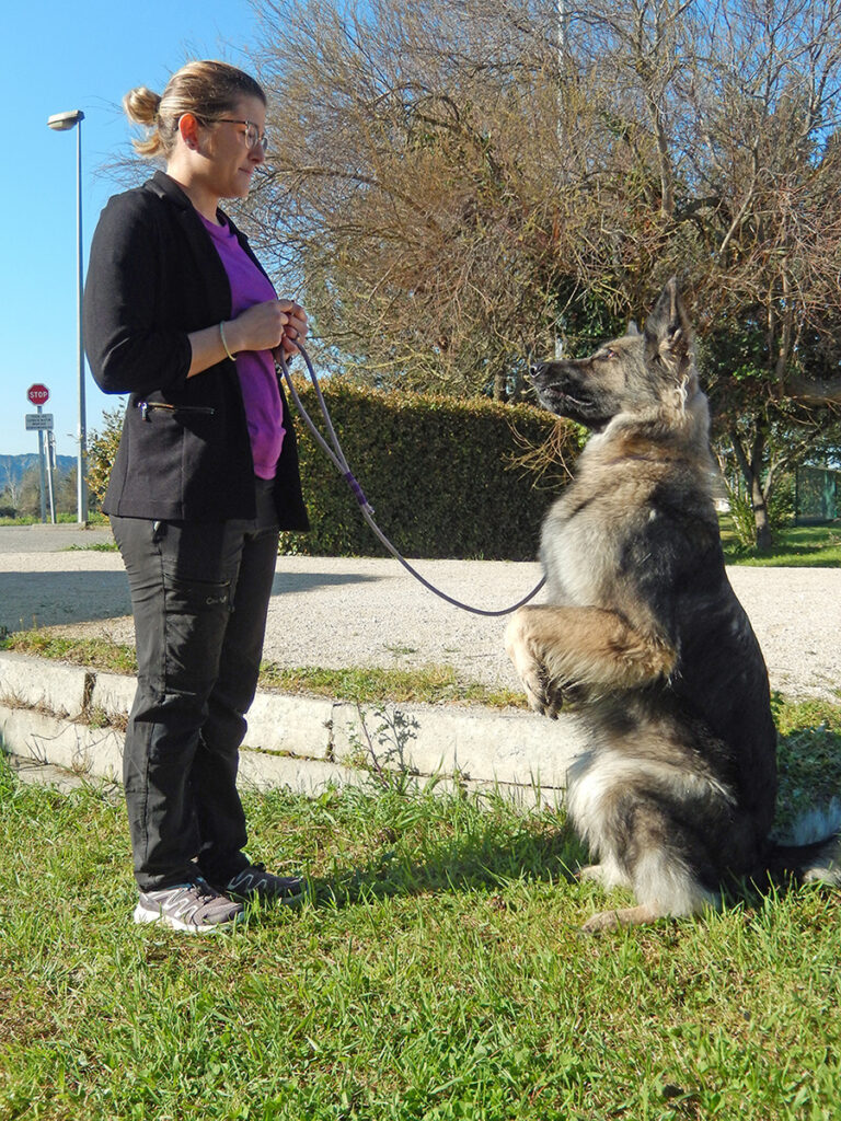 DSCN4617 copie