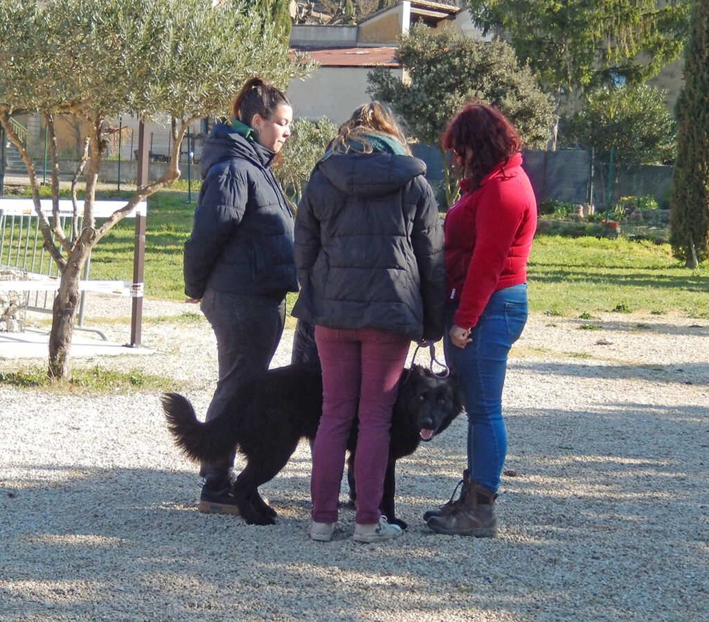 DSCN4622 copie