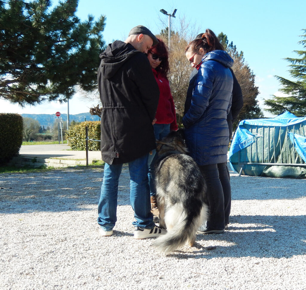 DSCN4682 copie