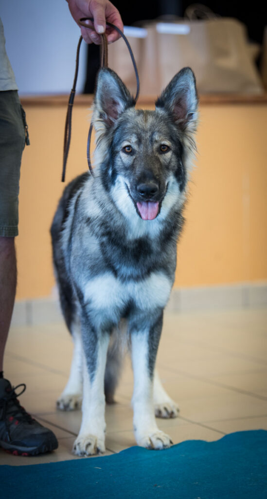 DSC_1022