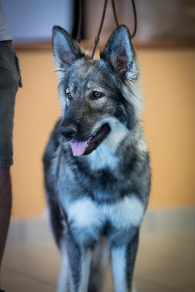 DSC_1026