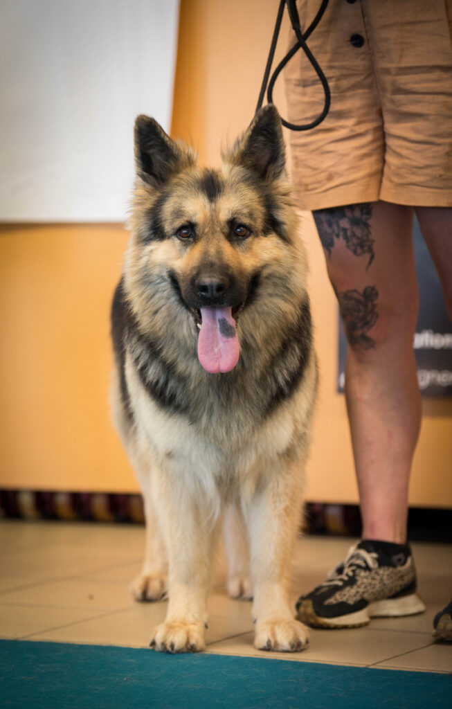 DSC_1081