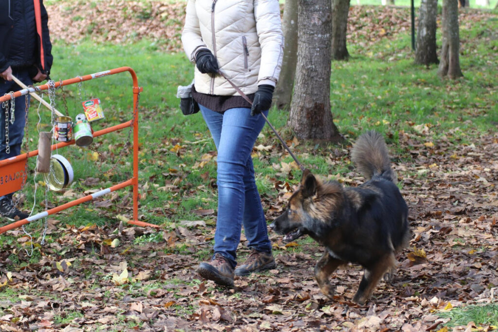 IMG_1703