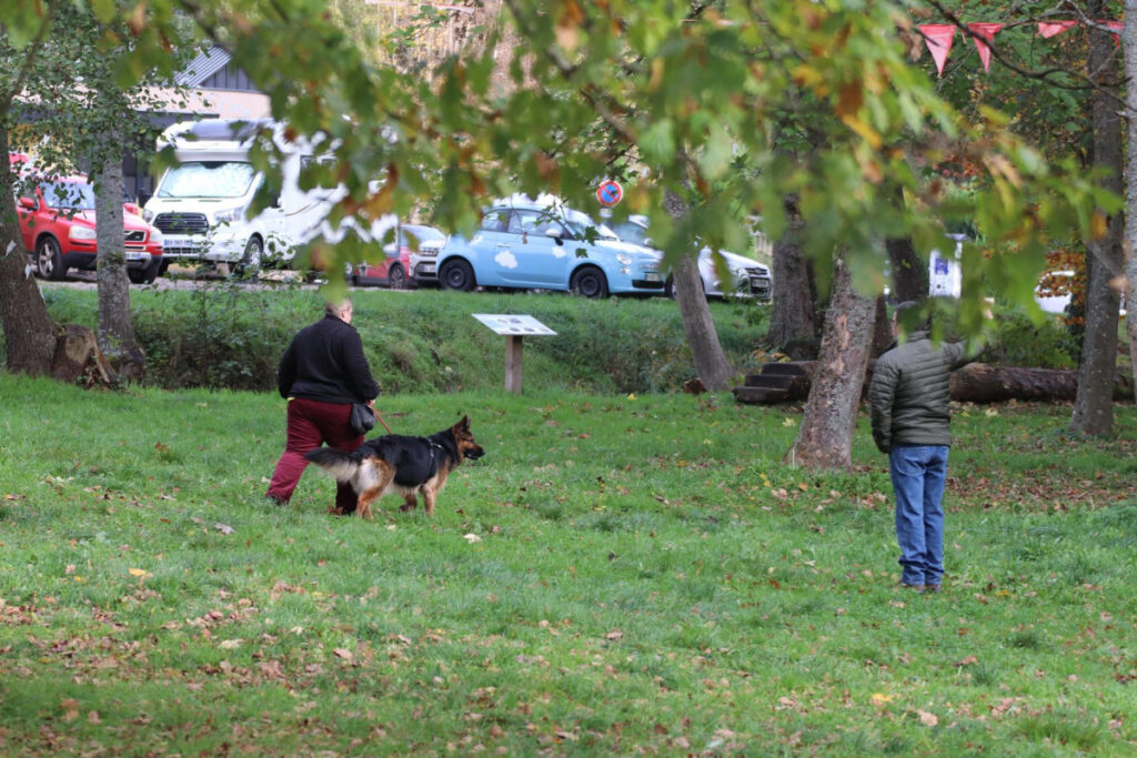 IMG_1753