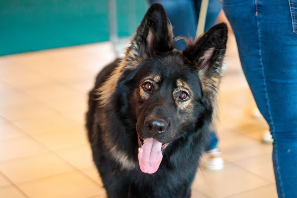 IMG_6282