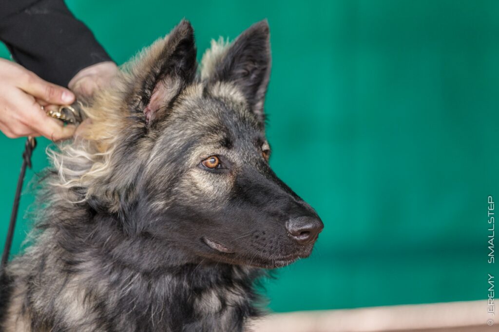 IMG_7670