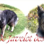 Javelot des Granges pt