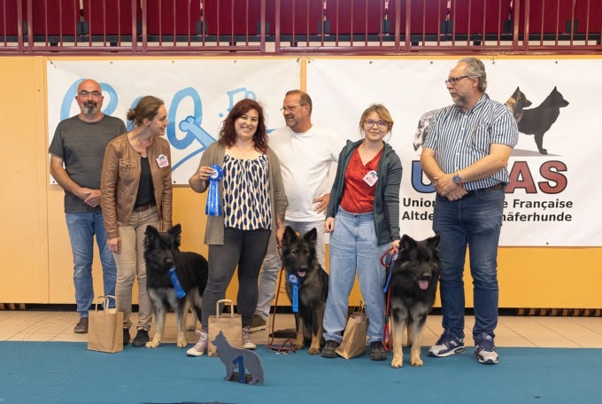 Meilleur Lot d'élevage
