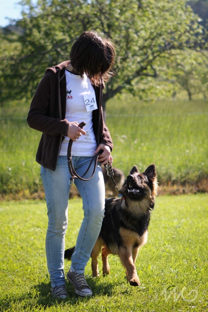 NE AS Mai 2014-008