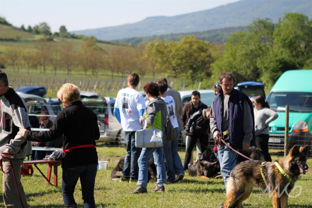 NE AS Mai 2014-014