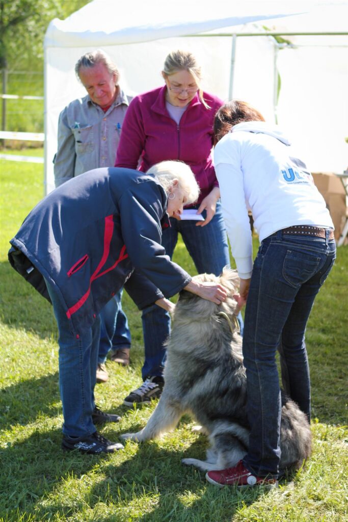 NE AS Mai 2014-033