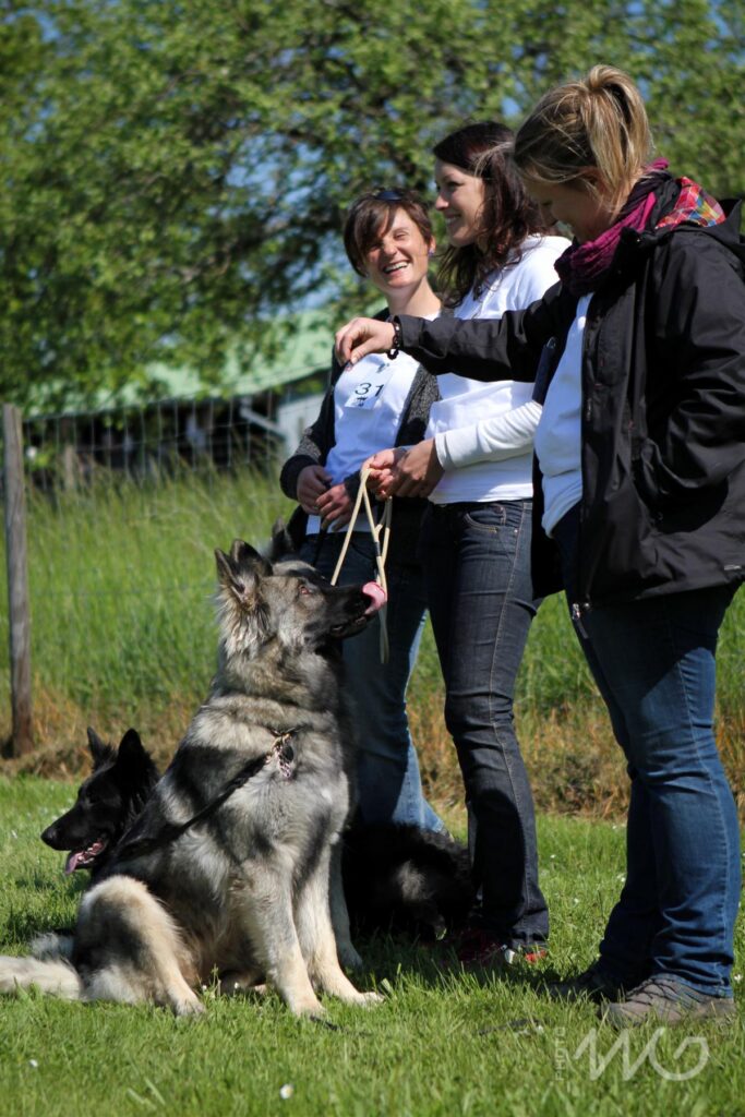 NE AS Mai 2014-049