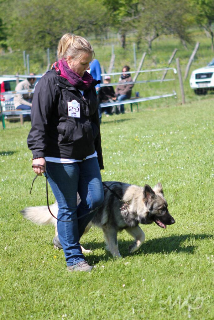 NE AS Mai 2014-064