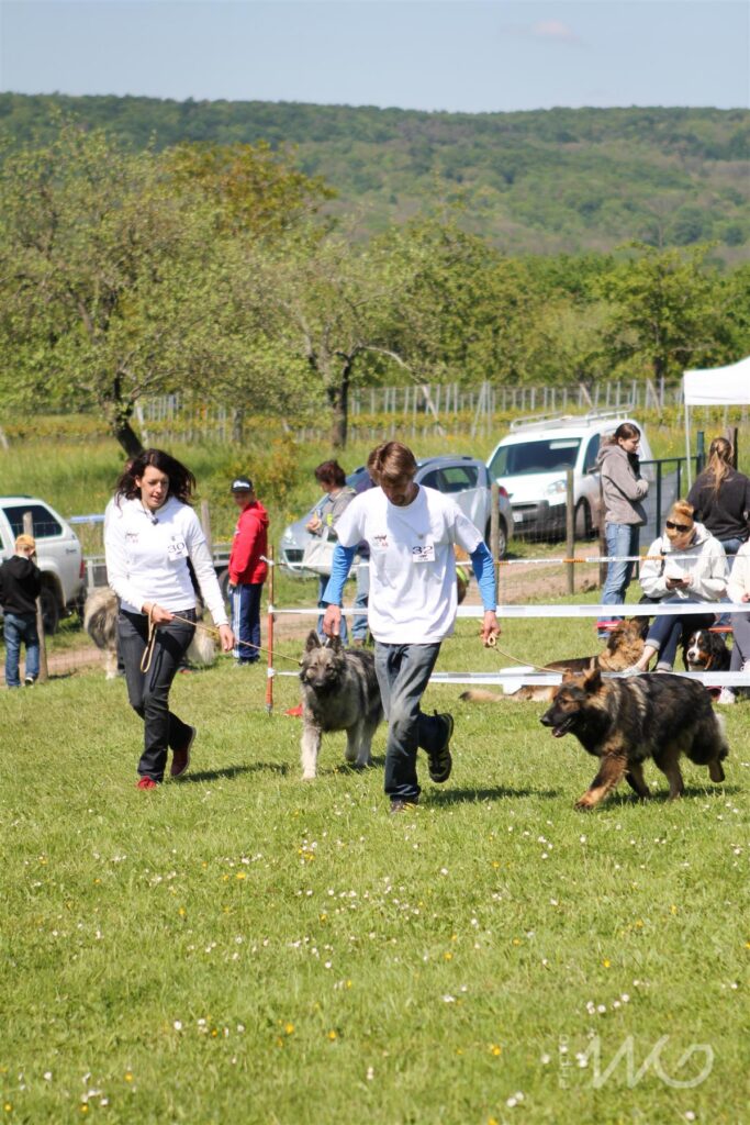 NE AS Mai 2014-070