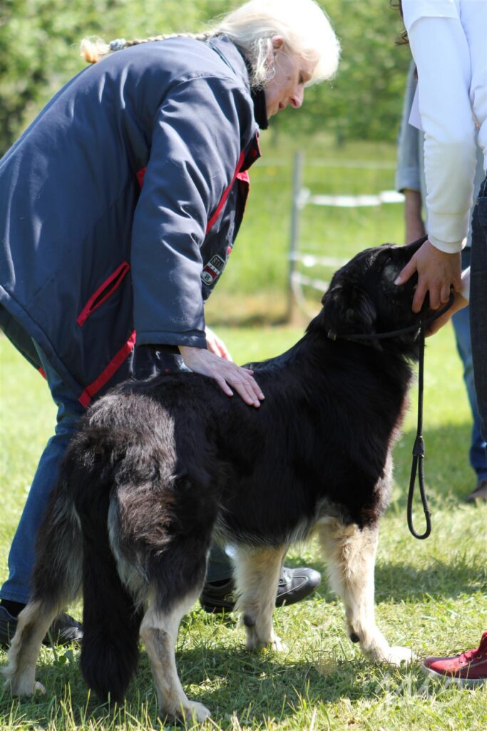 NE AS Mai 2014-071