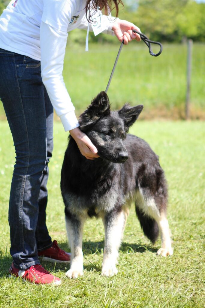 NE AS Mai 2014-075