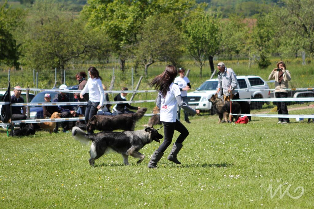 NE AS Mai 2014-090