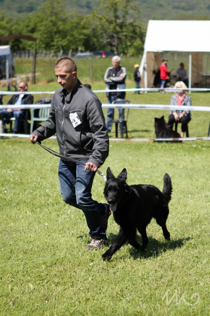NE AS Mai 2014-092