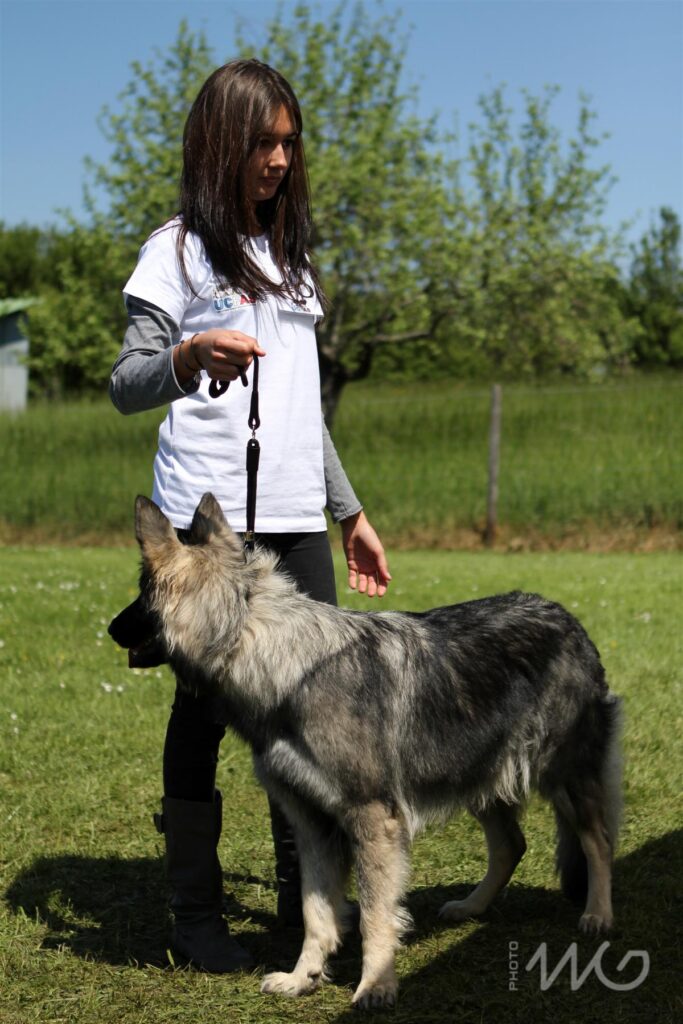 NE AS Mai 2014-102
