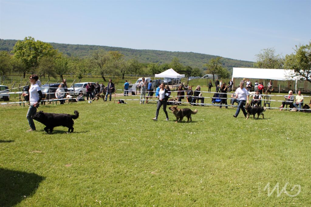 NE AS Mai 2014-128