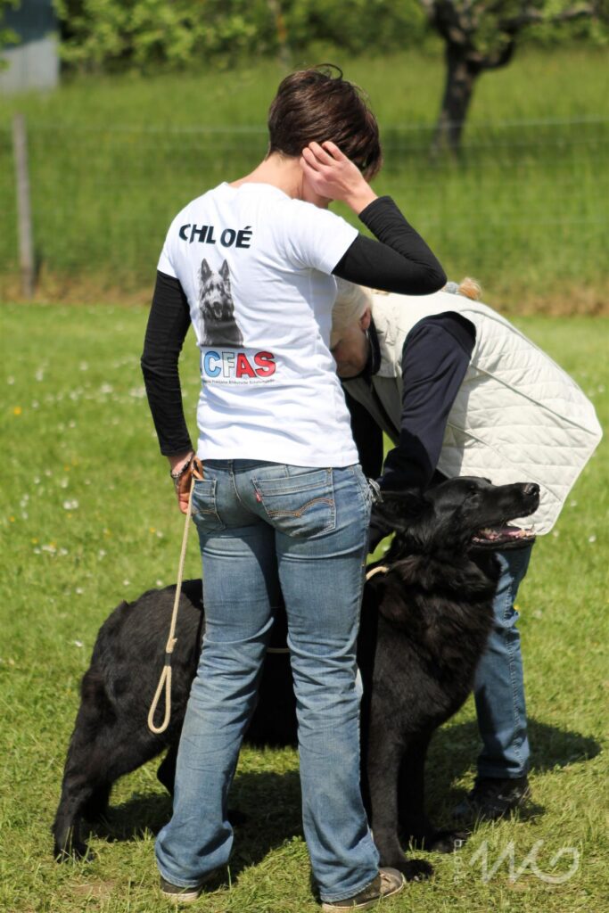 NE AS Mai 2014-129