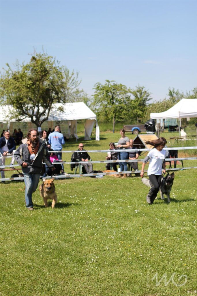NE AS Mai 2014-143