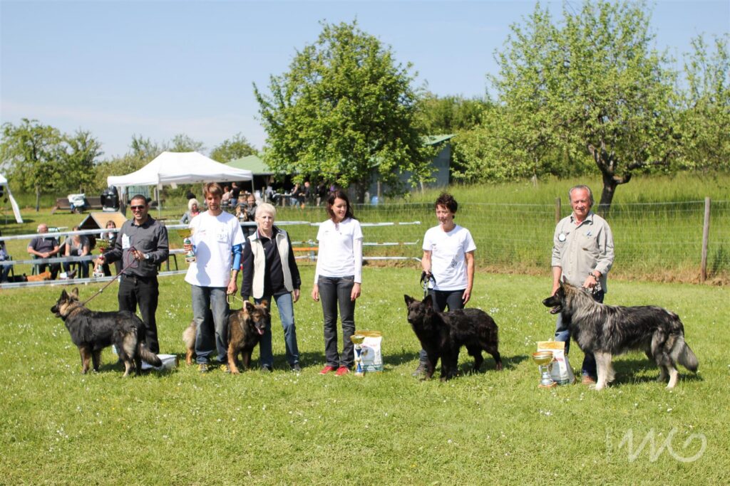 NE AS Mai 2014-159