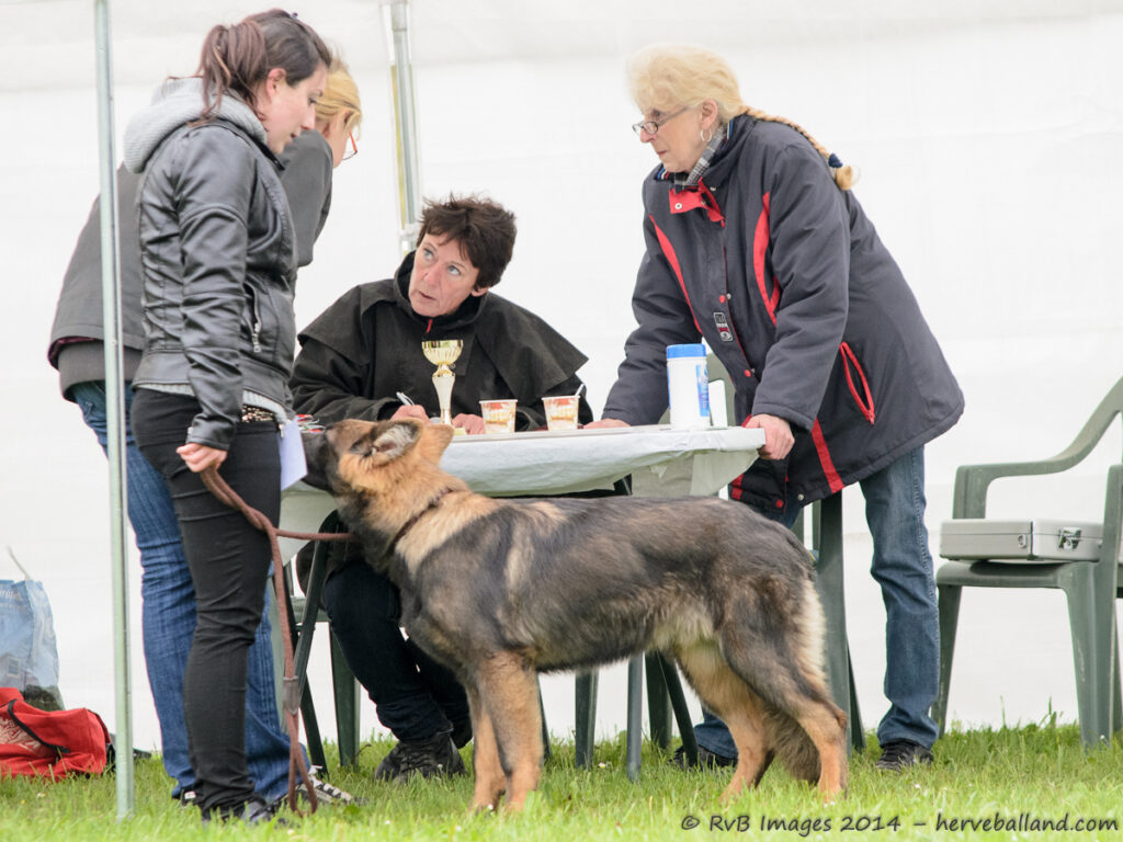 NE Boersch 2014-003