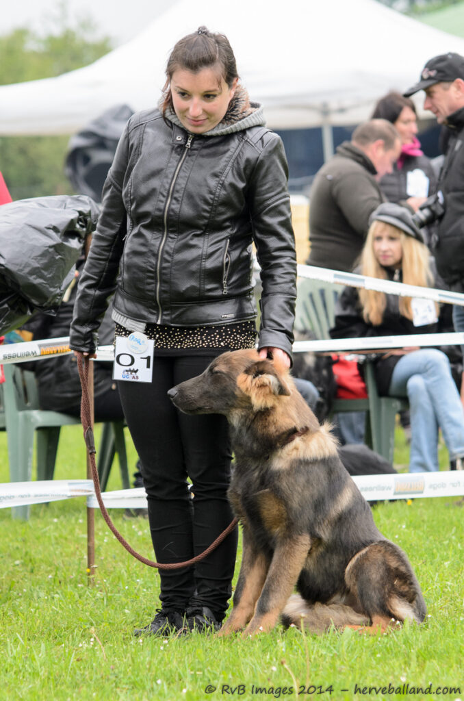 NE Boersch 2014-004