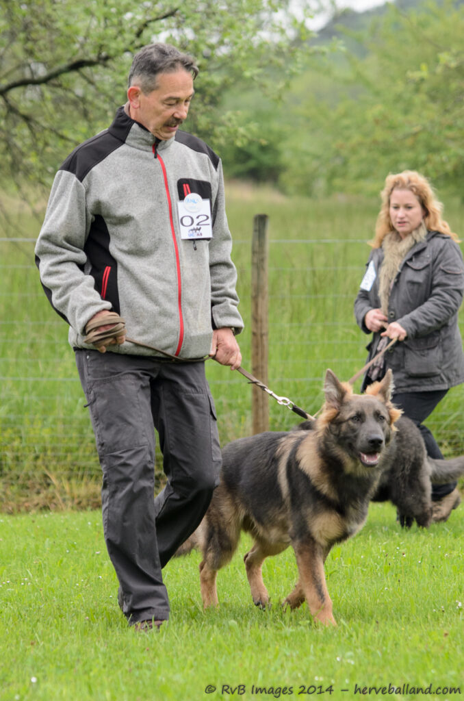NE Boersch 2014-005