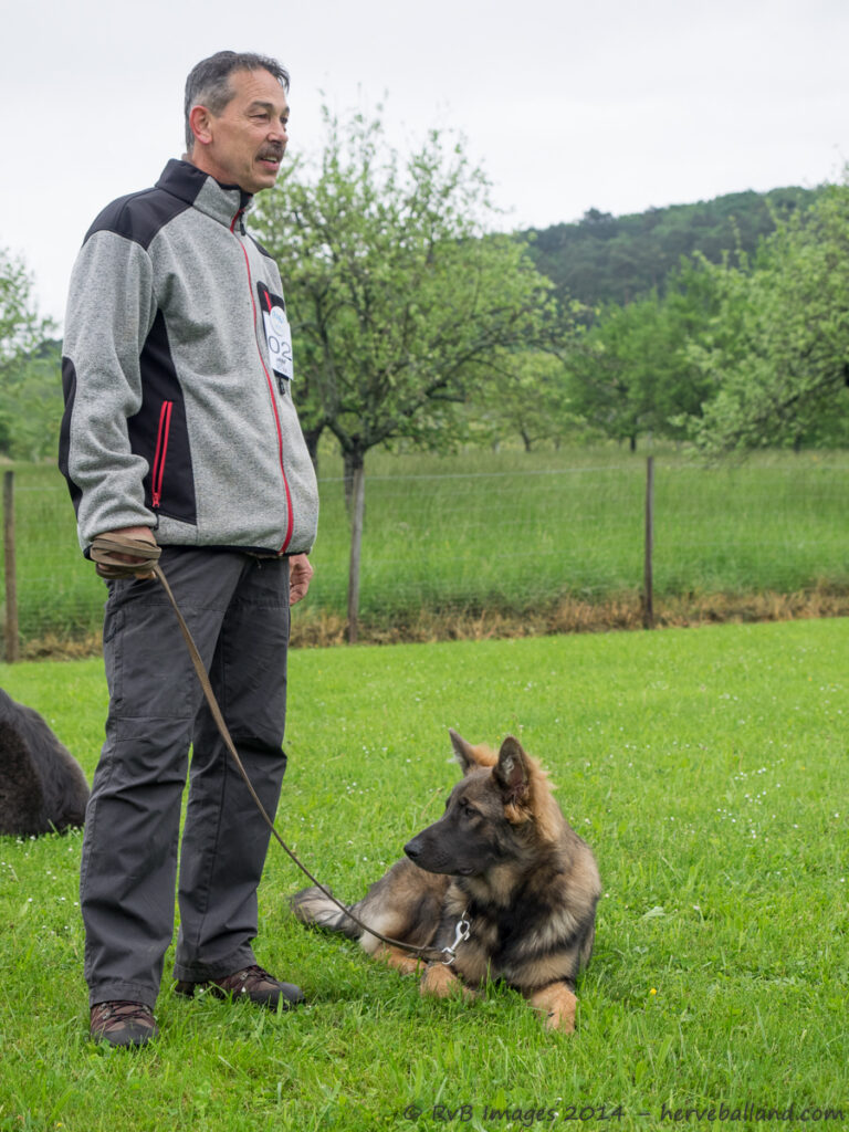 NE Boersch 2014-011