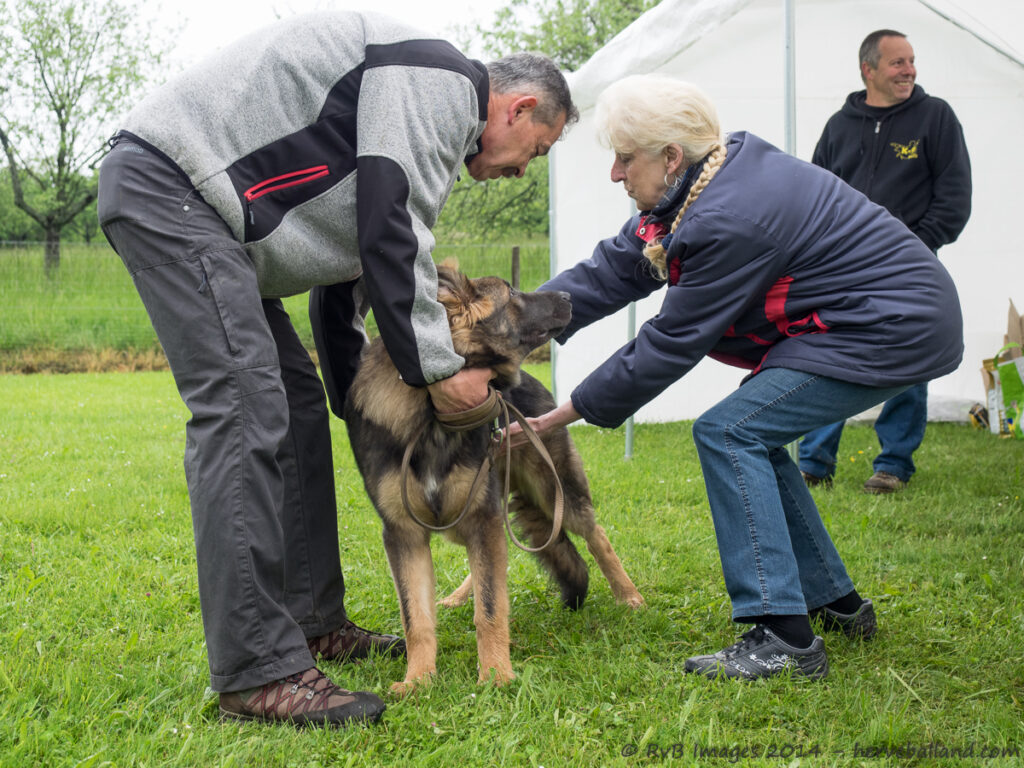 NE Boersch 2014-013