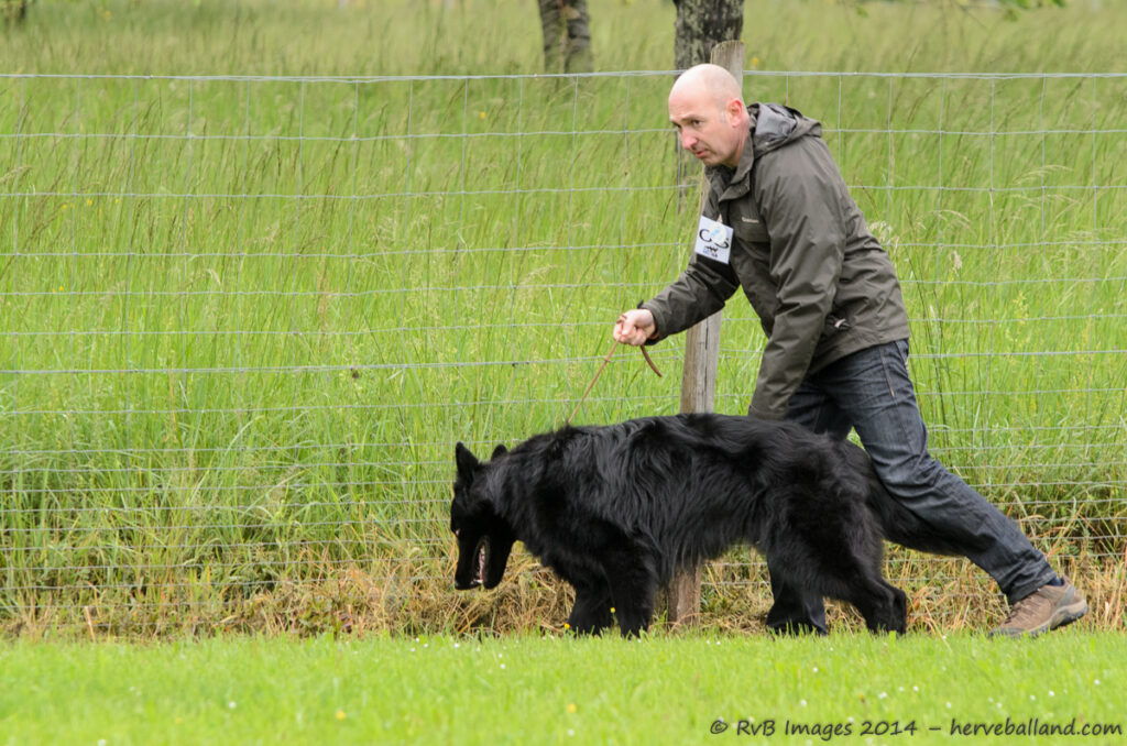 NE Boersch 2014-023