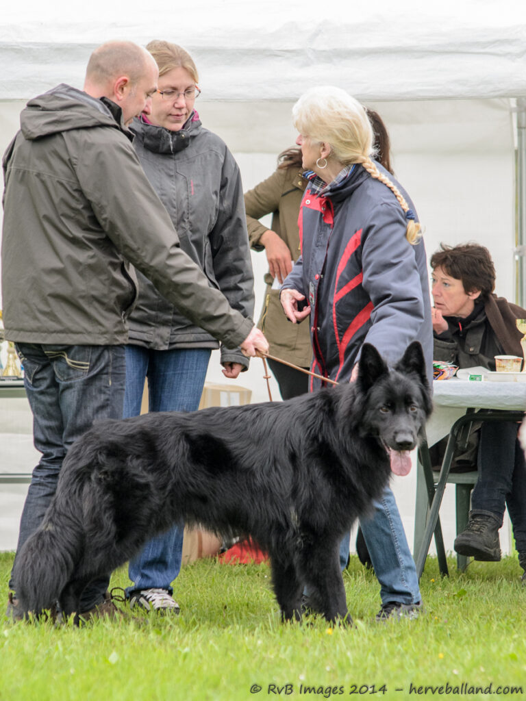 NE Boersch 2014-026