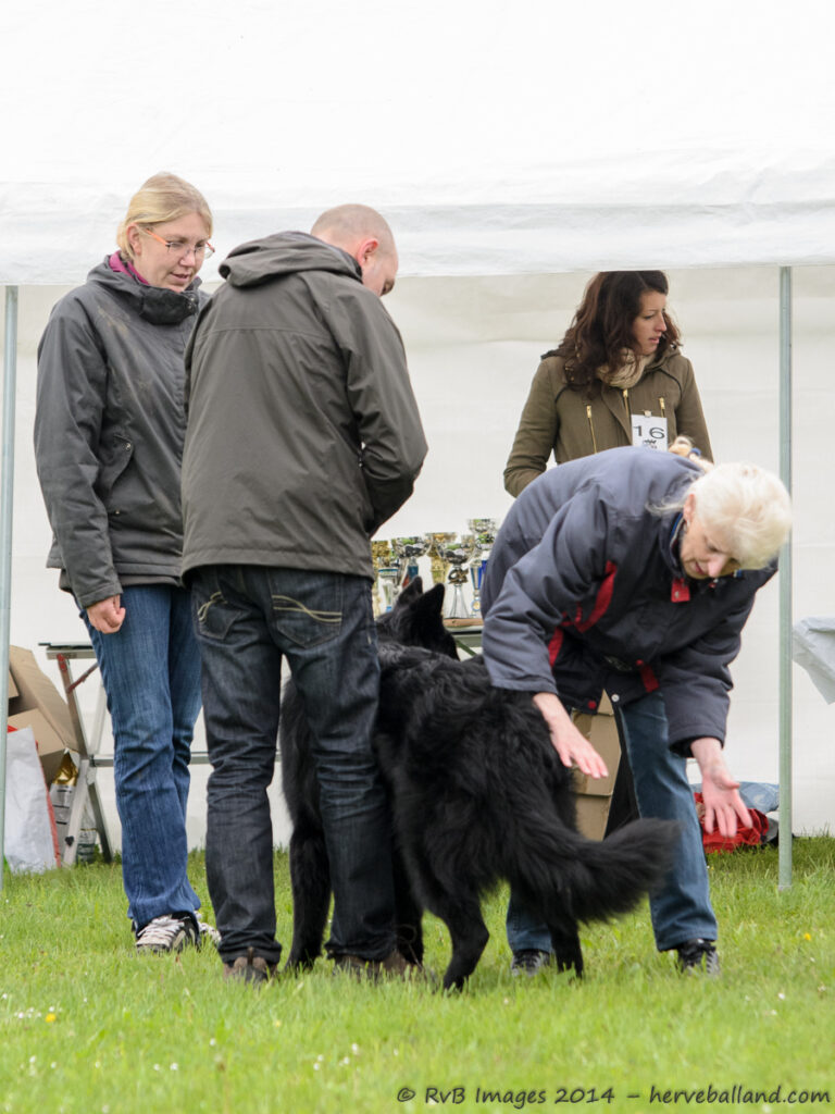 NE Boersch 2014-027