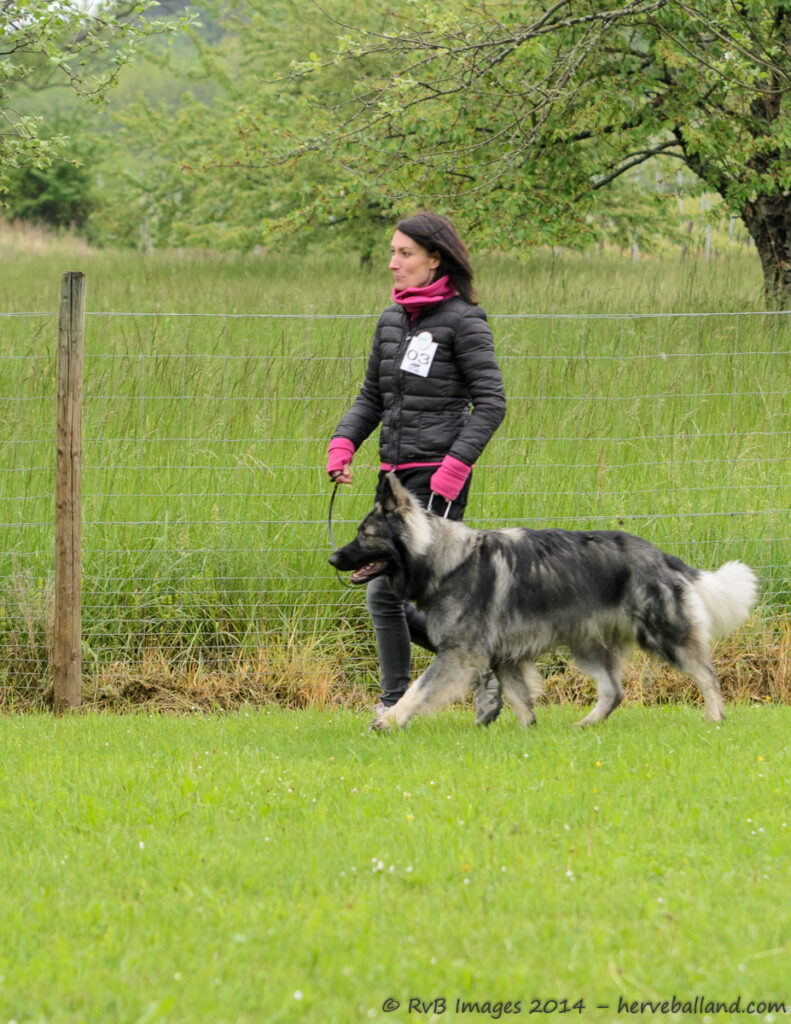NE Boersch 2014-035