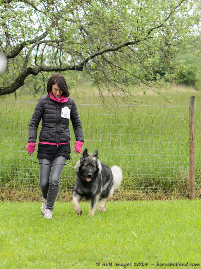 NE Boersch 2014-036