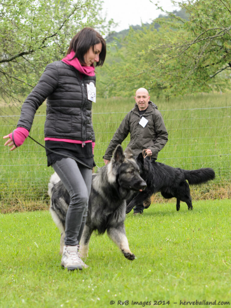 NE Boersch 2014-037
