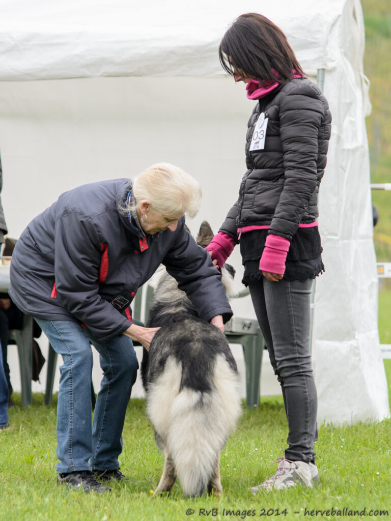 NE Boersch 2014-038