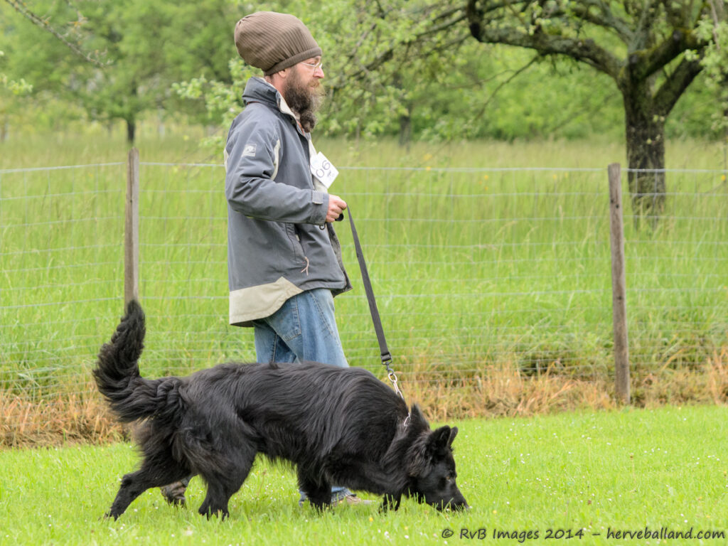 NE Boersch 2014-041