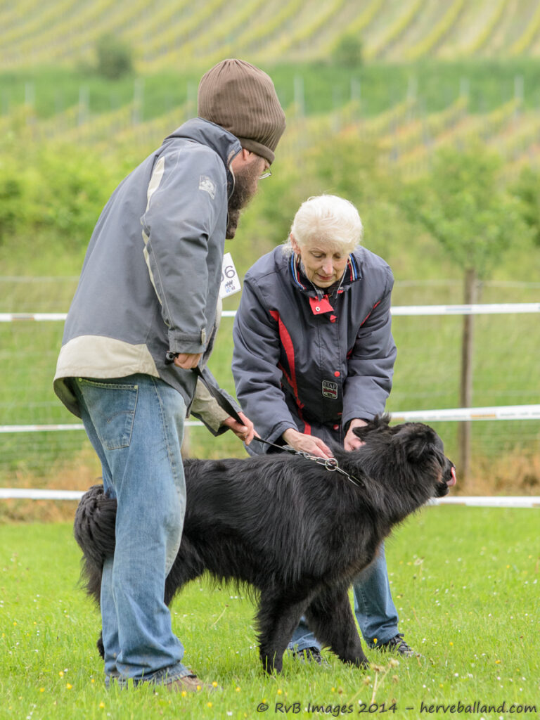 NE Boersch 2014-042
